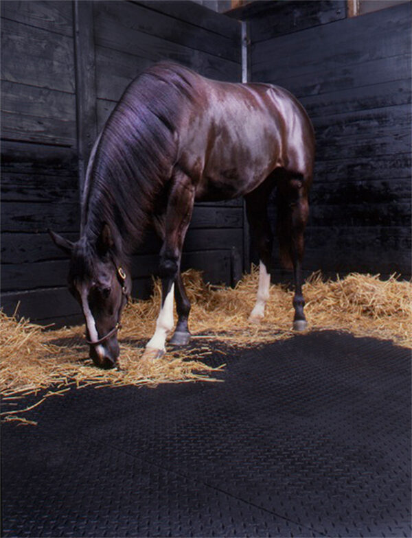 Rubber Stable mat | Horse Matting UK | Heavy Duty Rubber Mats UK