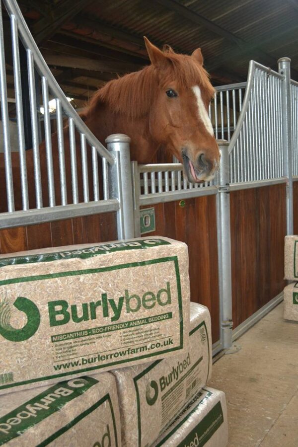 Burlybed Horse Bedding UK Rubber Stable Mats UK Gym Mats UK