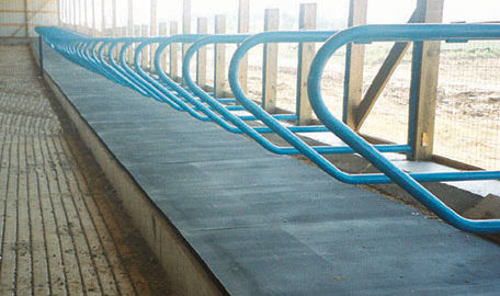 Rubber Cow Mat 185 x 115cm x 25mm