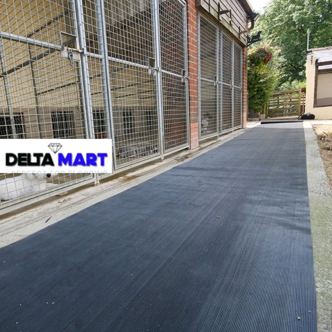 Row of wire-m mesh dog cages along a brick building with a blue non-slip walkway in front.