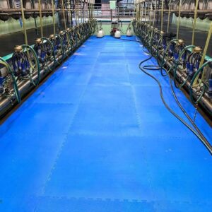 1m x 1m Milk Parlour EVA Mat
