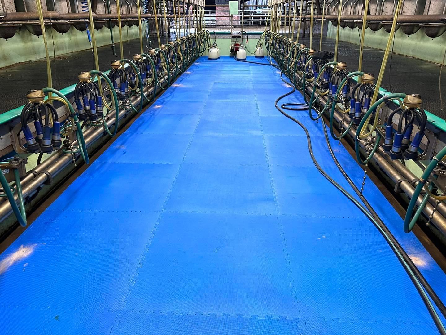 1m x 1m Milk Parlour EVA Mat